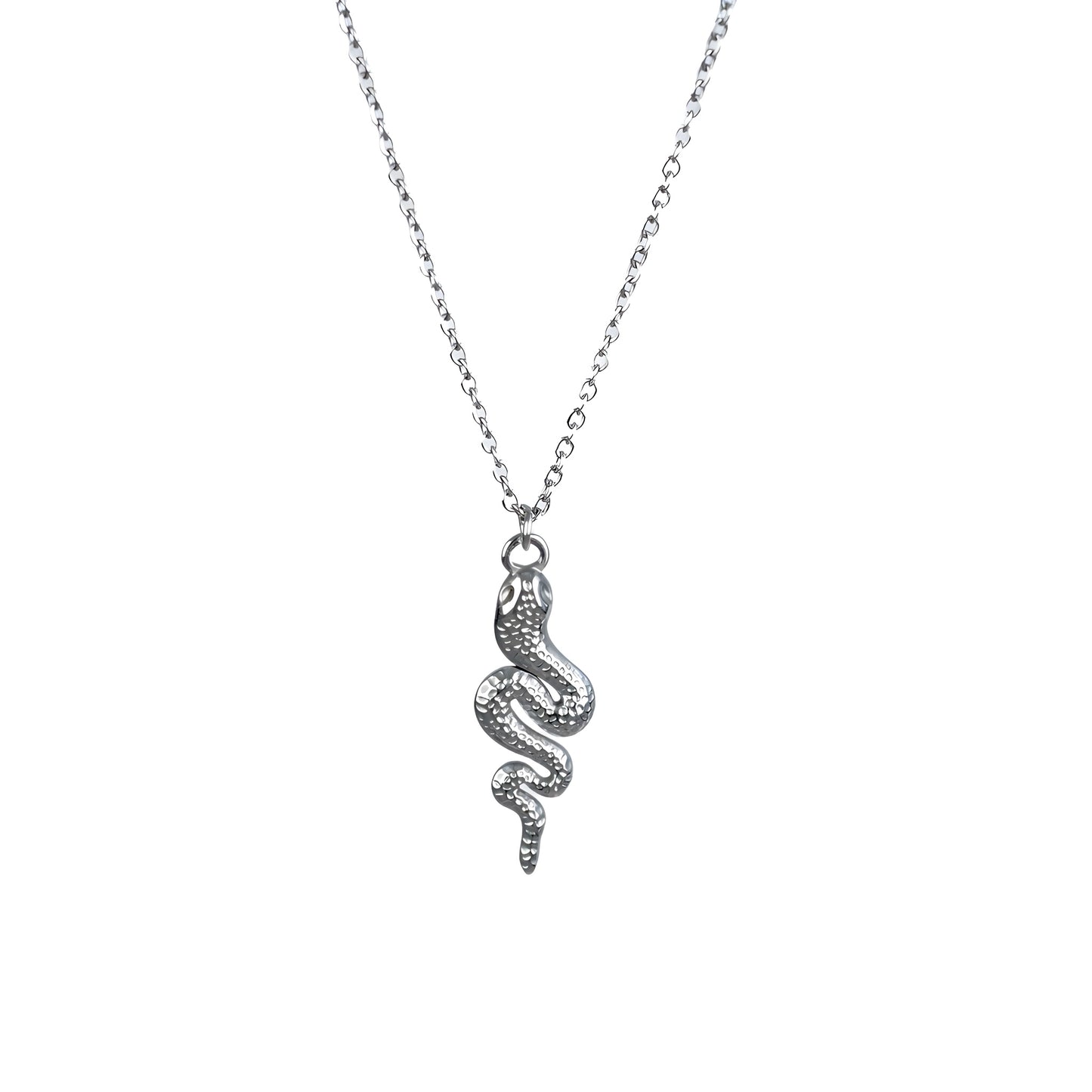 Silver-toned stainless steel necklace featuring a sleek snake design